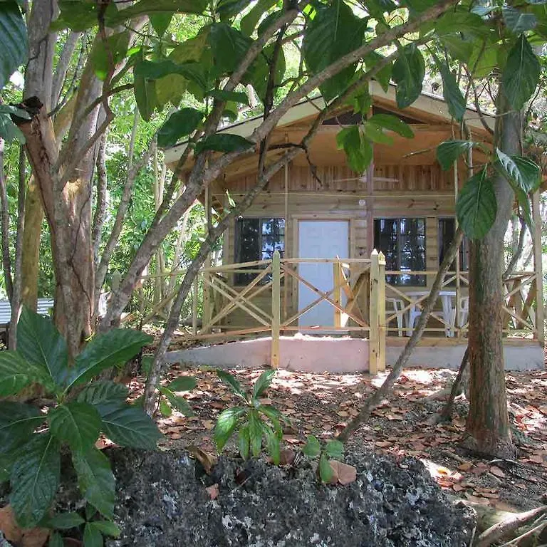 Cottages On Half Moon Beach Green Island Holiday home