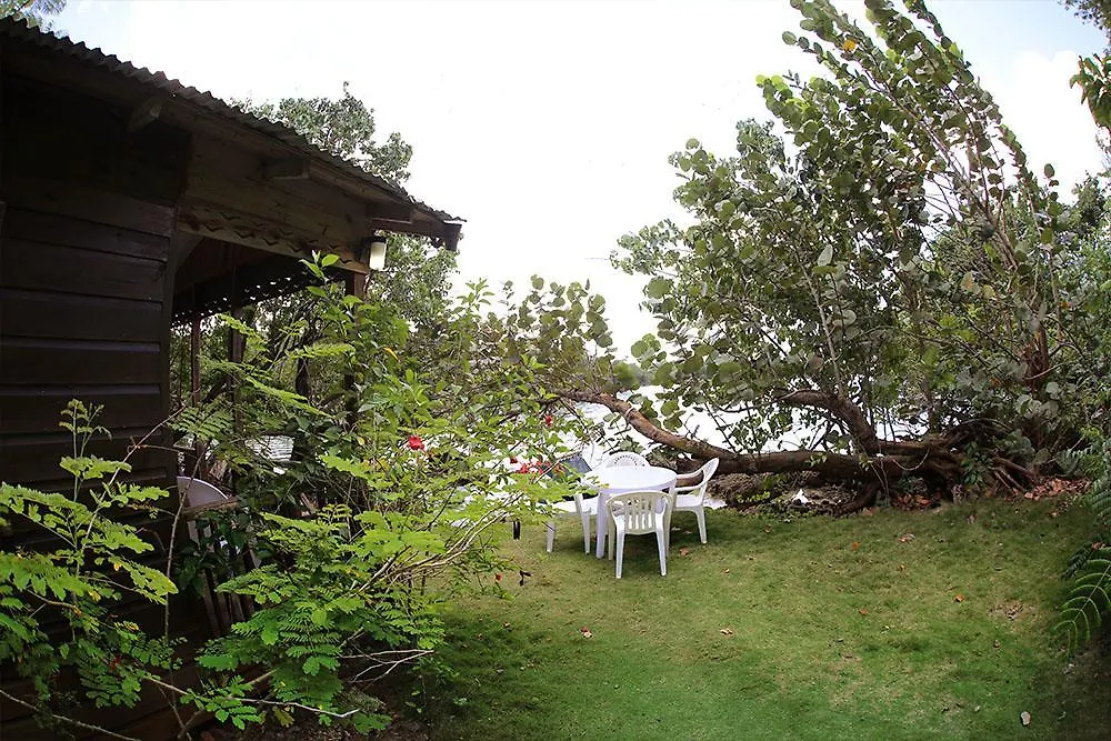Cottages On Half Moon Beach Green Island Holiday home